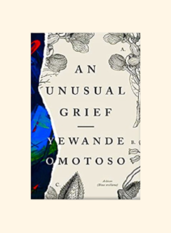 An Unusual Grief - Yewande Omotoso